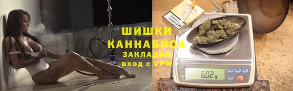 дмт Заводоуковск