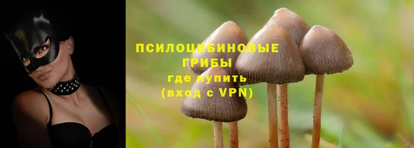 таблы Алексин