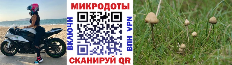 цена наркотик Невьянск Псилоцибиновые грибы Cubensis